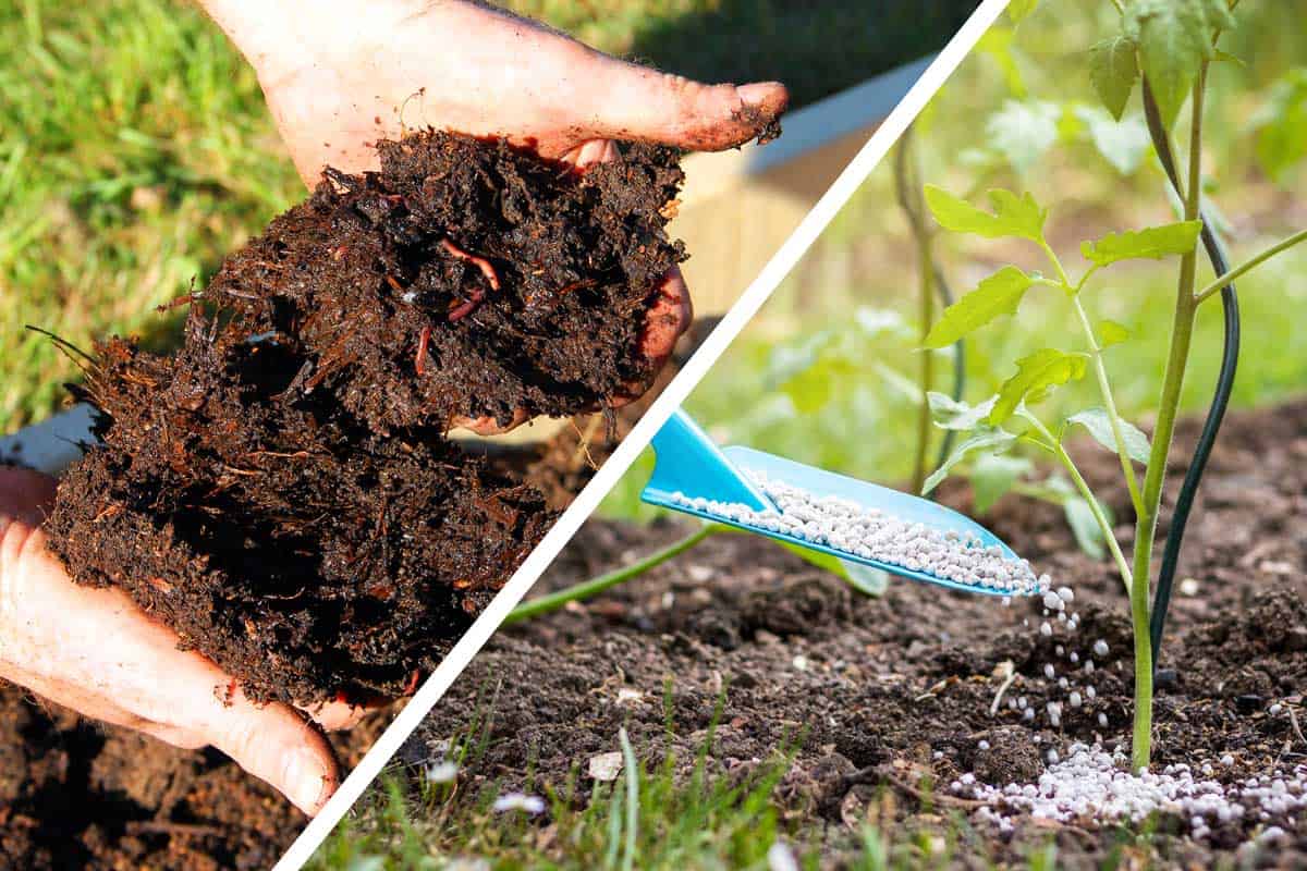 Tea Seed Meal manufacturer Tea Seed Meal manufacturer