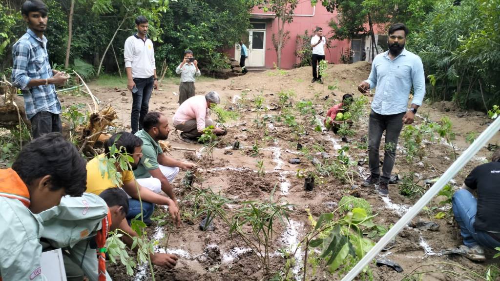 Establishing a Tiny Urban Forest: Using the Miyawaki Afforestation Technique by Rise Foundation