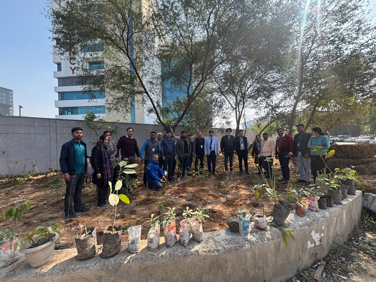 Citizens Step Up for Clean Air: Miyawaki Afforestation in Delhi NCR