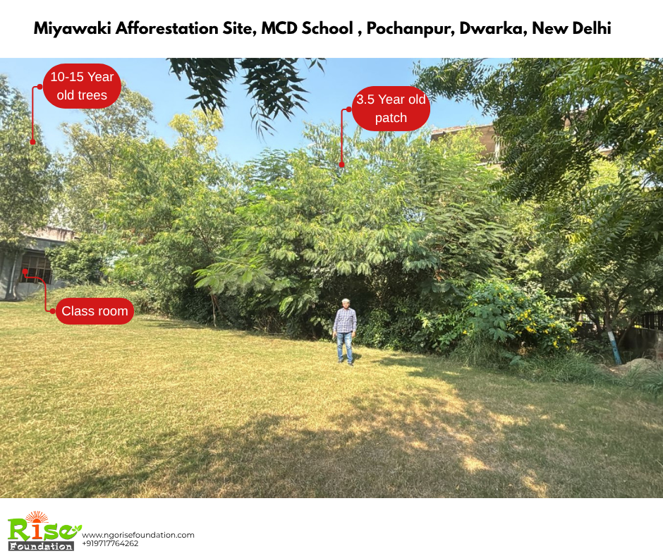 Pochanpur Miyawaki Afforestation site