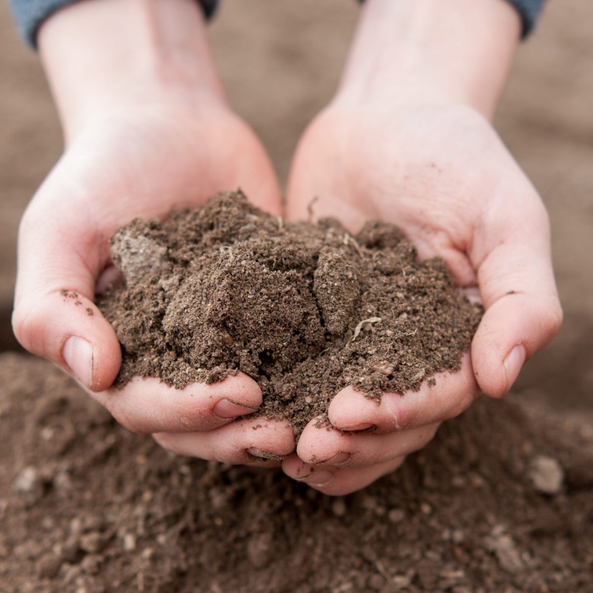 Soil Collection Methods for Soil&nbsp;Testing