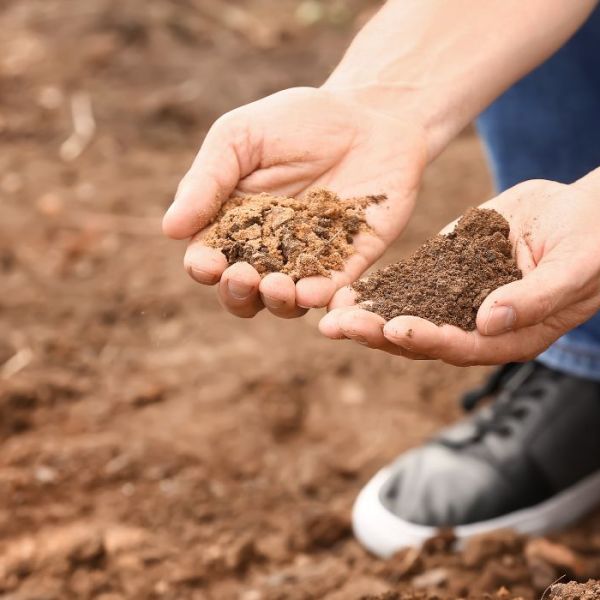 🌿 मिट्टी परीक्षण क्या है&nbsp;?