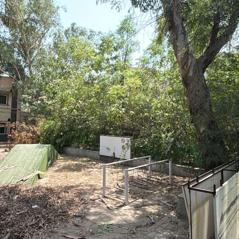 Urban Forestry: One Solution, Multiple&nbsp;Benefits